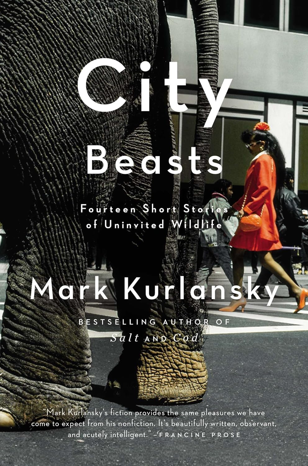City Beasts:  Fourteen Short Stories of Uninvited Wildlife